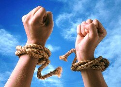 Пять простых, но очень полезных привычек Пять простых, но очень полезных привычек